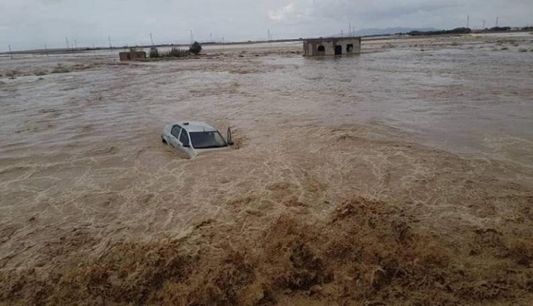 حصيلة ضحايا فيضانات الجزائر إلى 8 قتلى